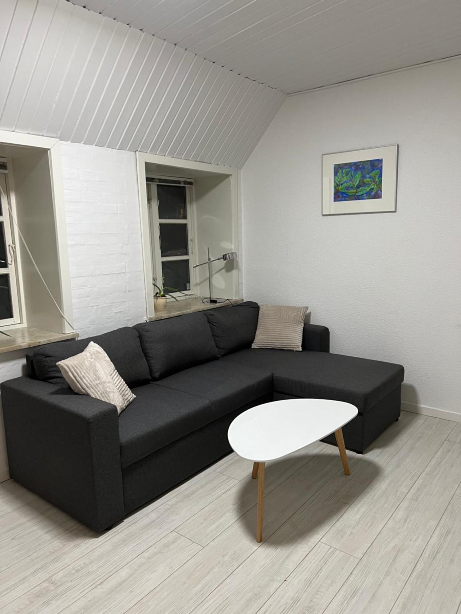 Apartment With Wifi, Close To City Center, Beach And Forrest Aabenraa Bagian luar foto