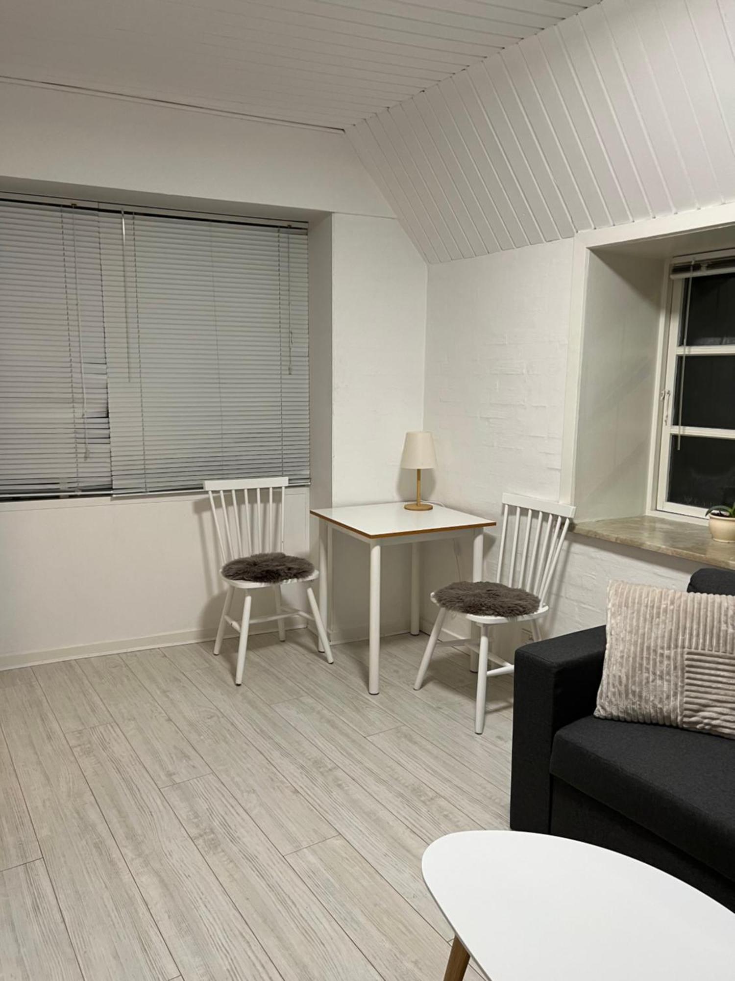Apartment With Wifi, Close To City Center, Beach And Forrest Aabenraa Bagian luar foto
